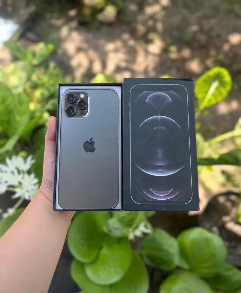 Iphone 12 promax 256 gb murah