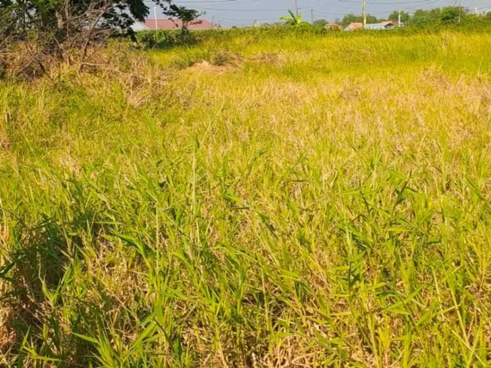 Dijual Tanah SHM Dekat Fasilitas Kesehatan dan Pendidikan