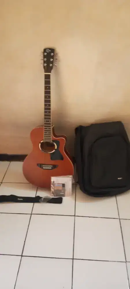Gitar orca udah tanam besi