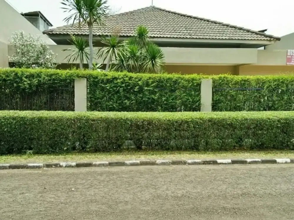 Disewakan Rumah Luas Terawat di Komplek Eksklusif Cinere Dekat Mall & Rs
