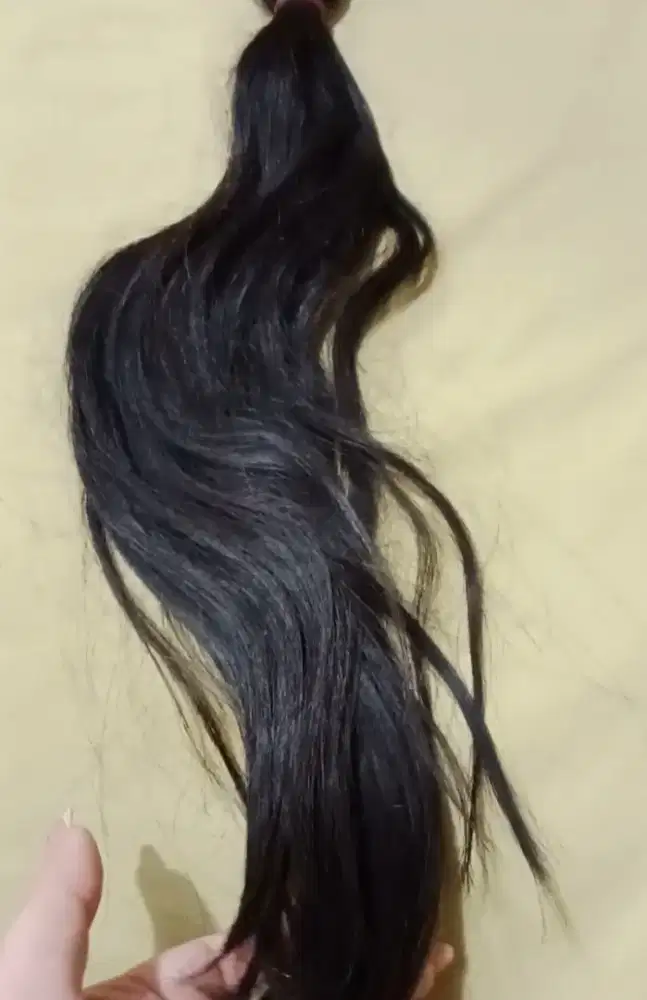 Rambut ext. Asli