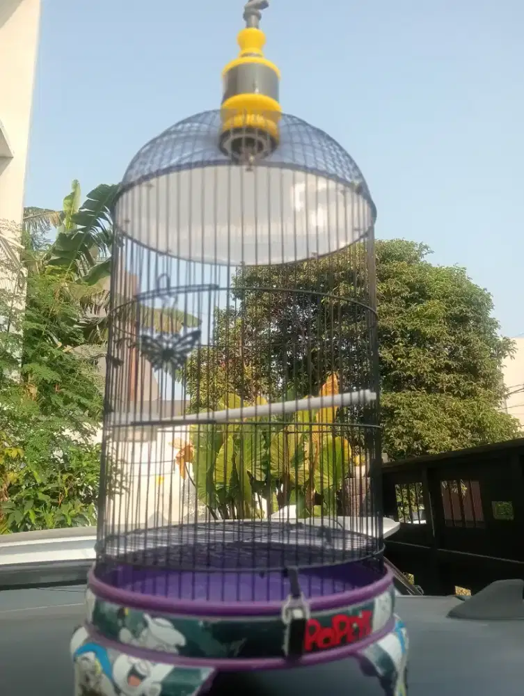 Sangkar lovebird PVC besi tebal