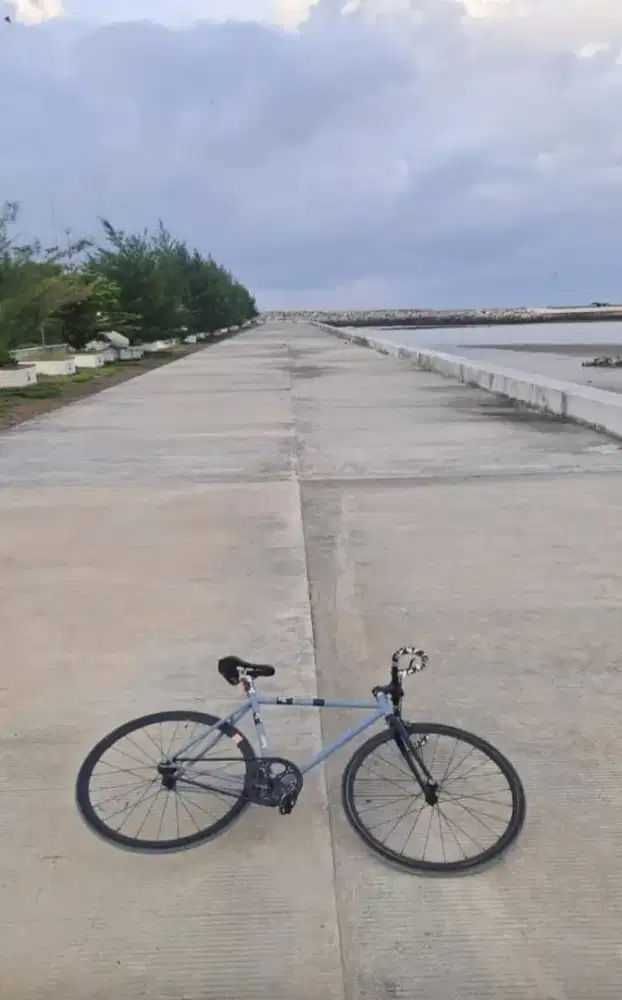 Sepeda fixie abu abu