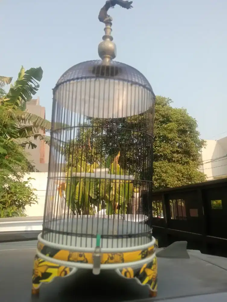Sangkar lovebird PVC