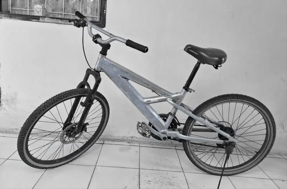 Sepeda Wimcycle