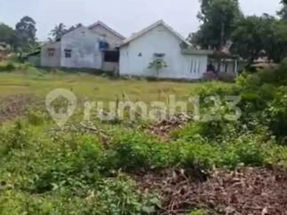 Tanah Murah Cikeusal Petir Serang Akses Kontener