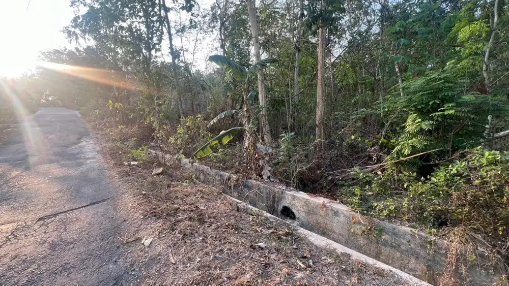Tanah pekarangan luas 297 muka 11 panjang 24
