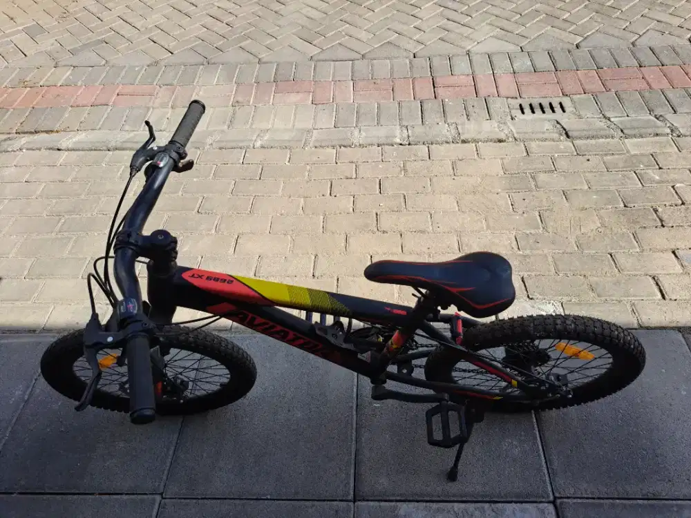 Sepeda anak remaja