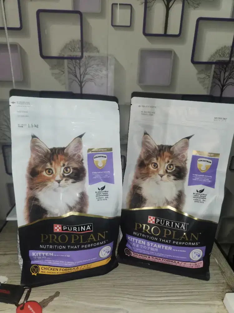 proplan kitten starter 1.5kg sealed