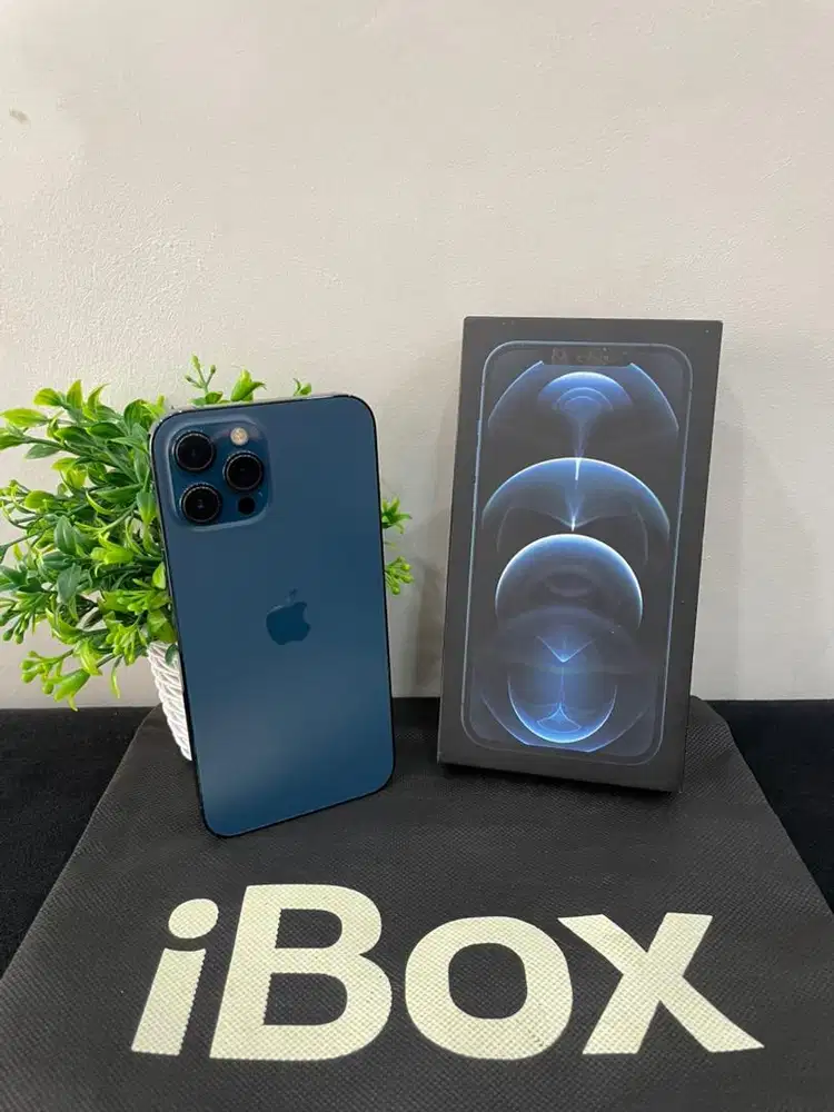 IPhone 12 ProMax 256GB Pacific Blue iBox mulus Fullset Ori BH 100%
