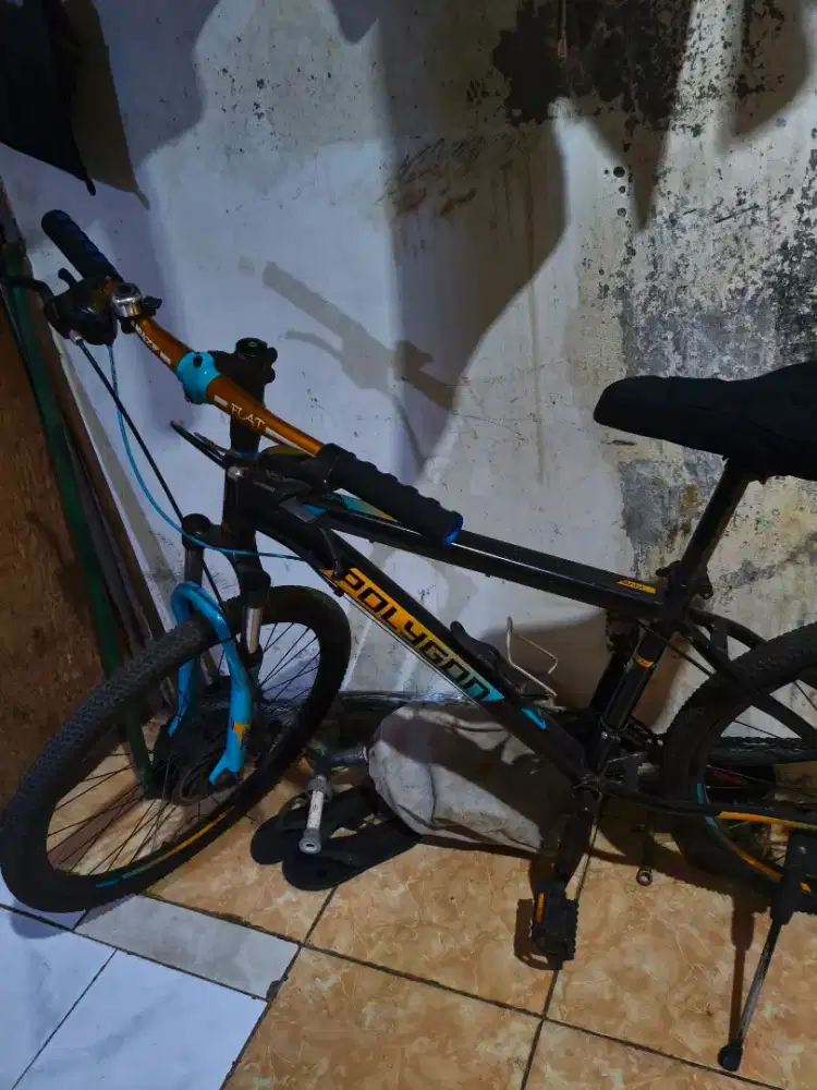 Polygon MTB Monarch 260