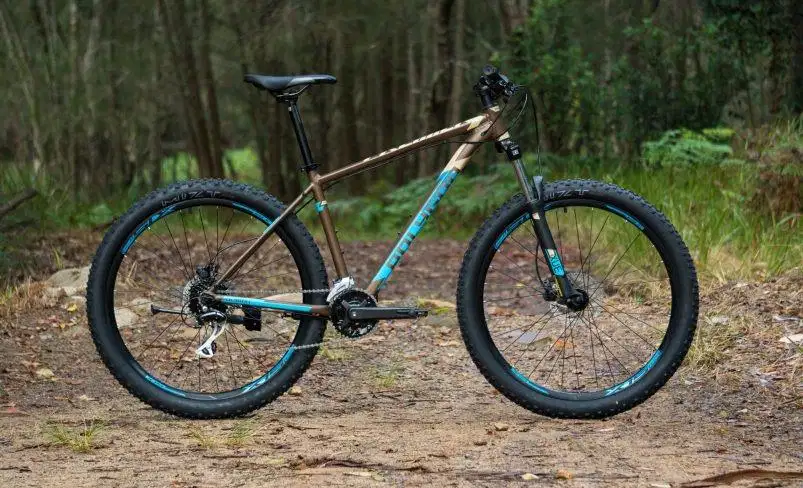 SEPEDA GUNUNG DEWASA MTB POLYGON PREMIER 4 2021
