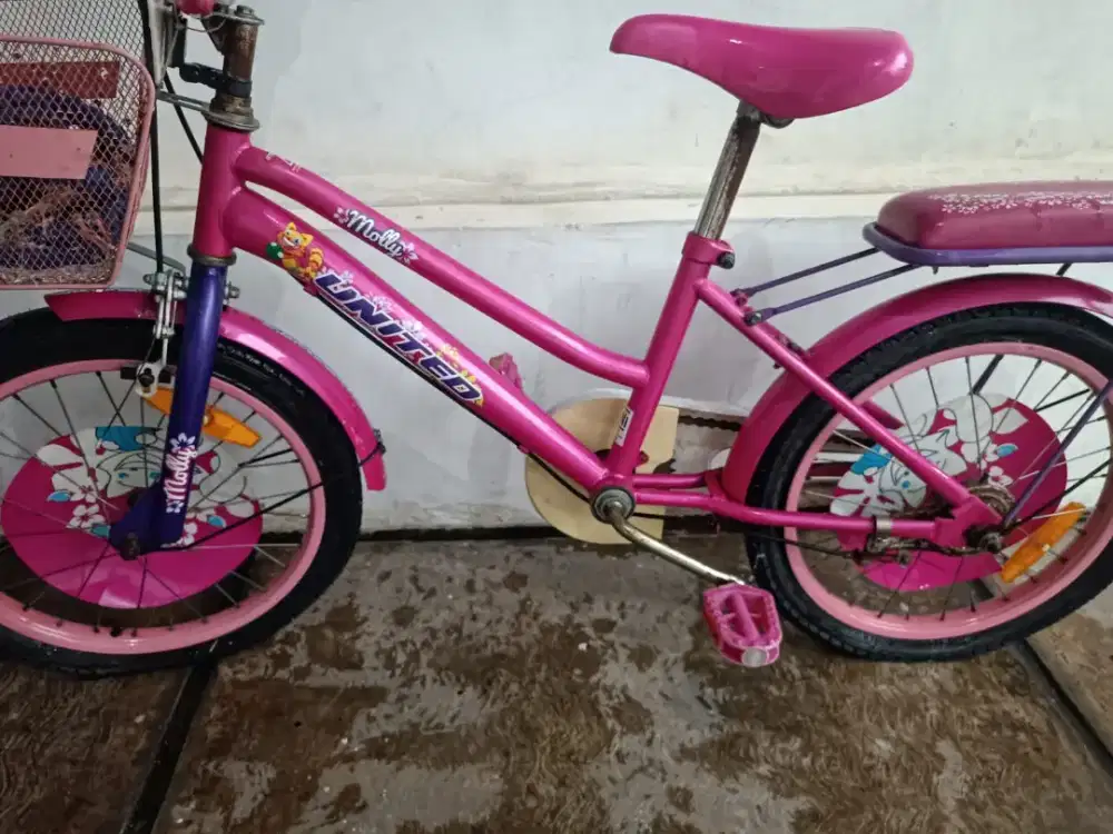 Sepeda anak perempuan