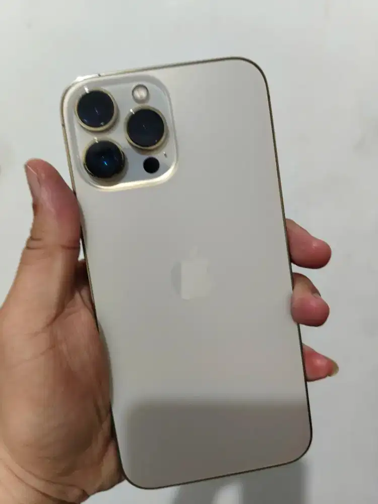 Iphone 13 promax 256 beacukai
