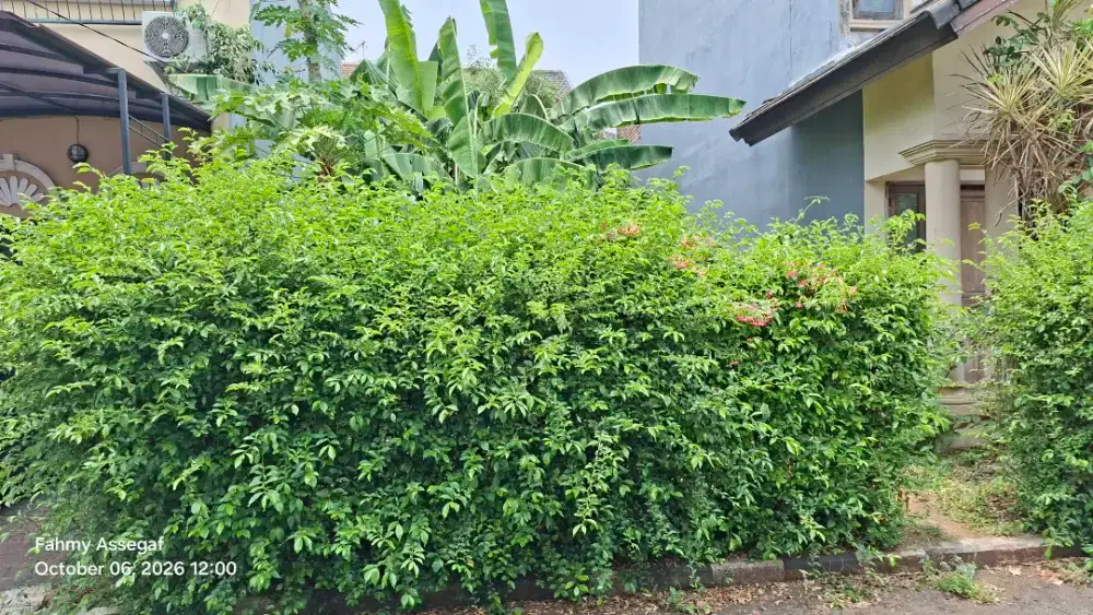 Di jual tanah kavling