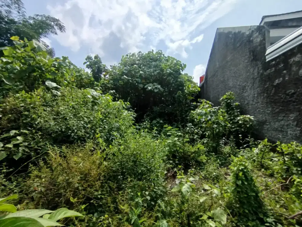 Tanah dekat sungai dekat ke masjid Suciati jalan Gito Gati Sleman