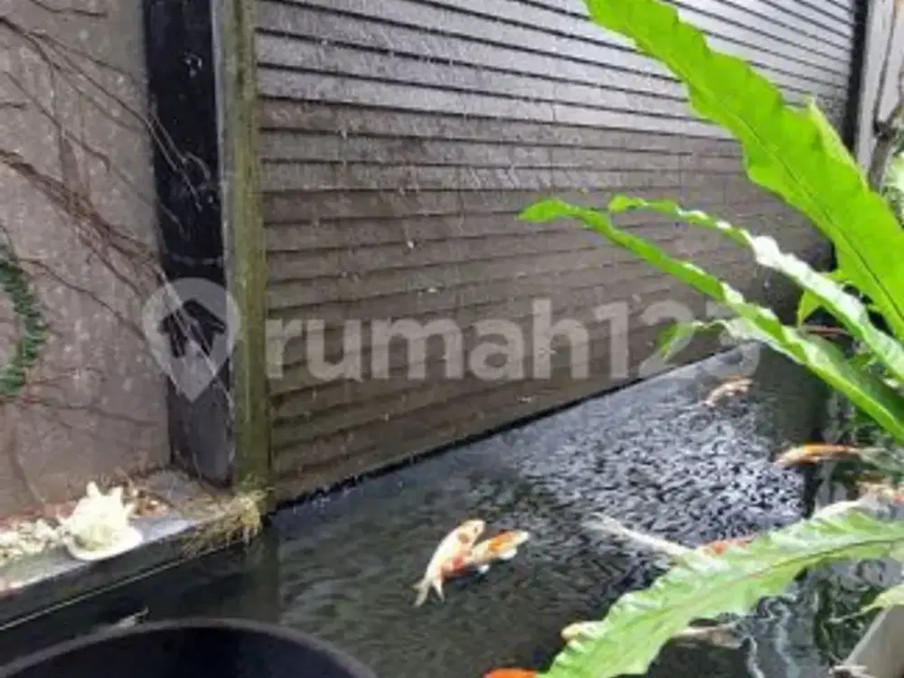 Rumah Mewah Nyaman Asri dengan Luasan besar harga wajar di Kota Baru Parahyangan