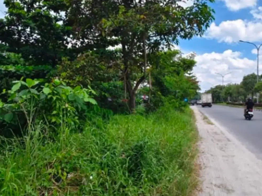 Dijual Cepat Tanah Lokasi di Tengah Kota Cocok Untuk Pembangunan, Investasi dan Tidak Banjir (TH-3)