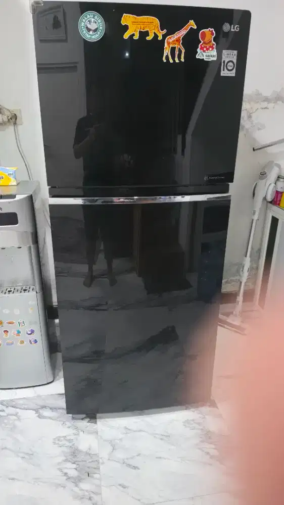 Jual kulkas LG dua pintu inverter jumbo