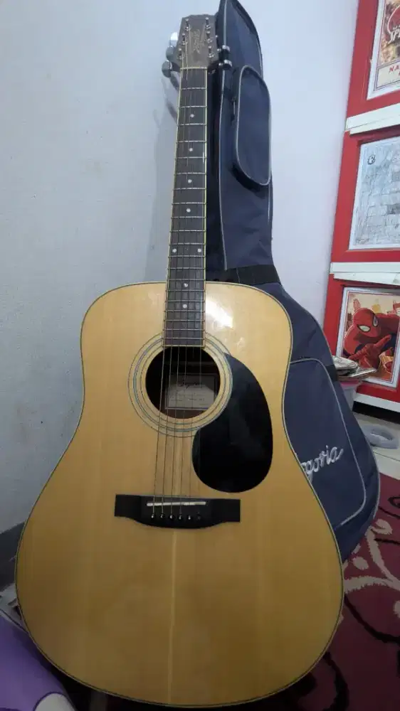 Gitar segovia dn 07