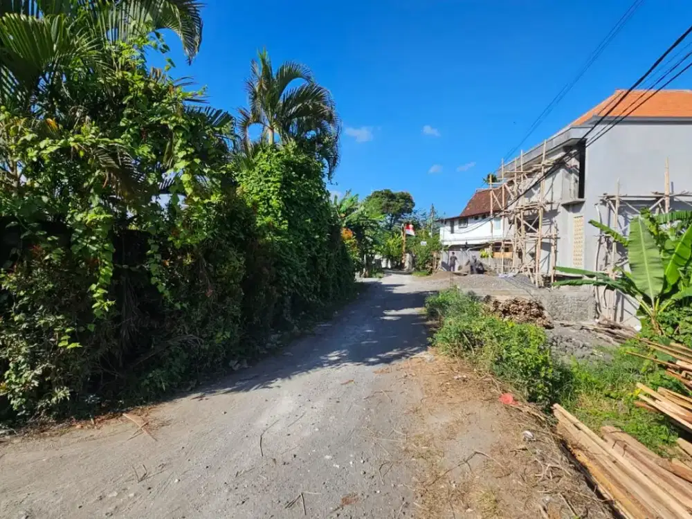 Tanah jantuk angsa pererenan canggu