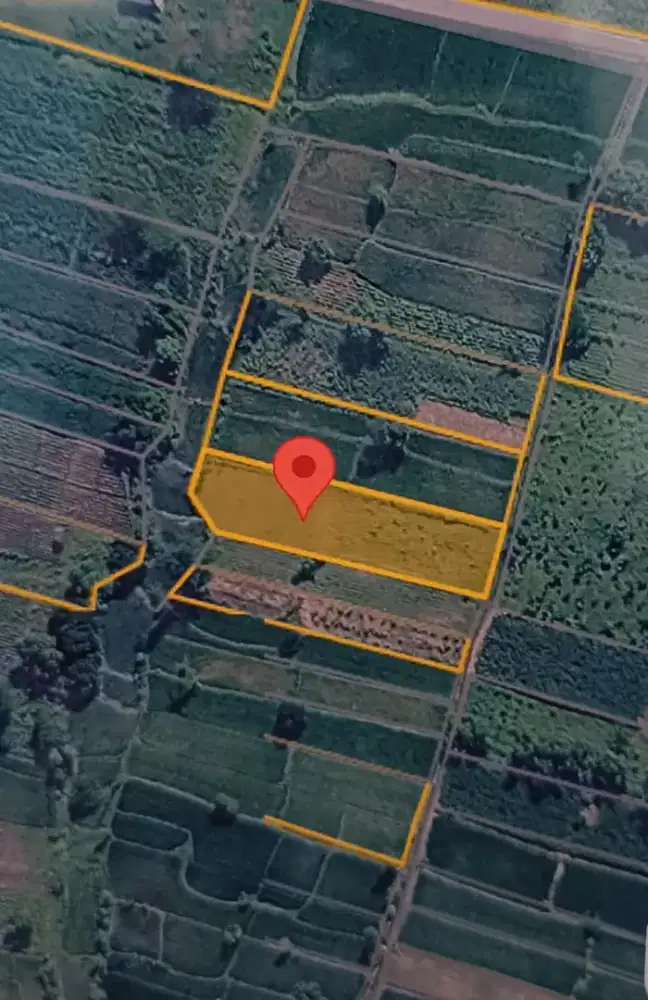 JUAL CEPAT! Sawah 1.447 m² SHM di Ngoro Mojokerto