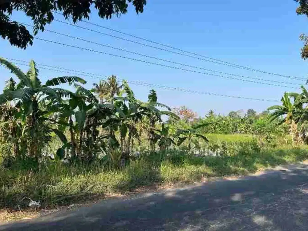 Tanah Asri Akses Bagus Di Widodomartani Dekat Blue Lagoon, Pasar Njangkang, Kampus UII