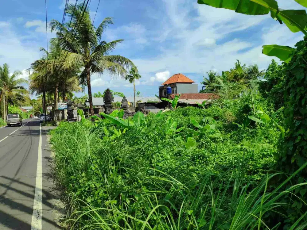 Tanah Komersial Ubud Lebar Depan 18 Meter