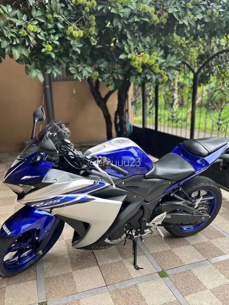 R25 Non ABS 2016