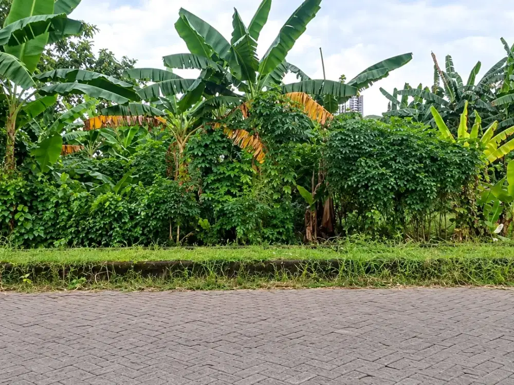 Gayungsari
