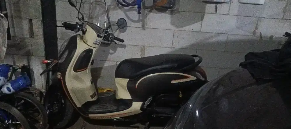 Scoopy fashion 2023