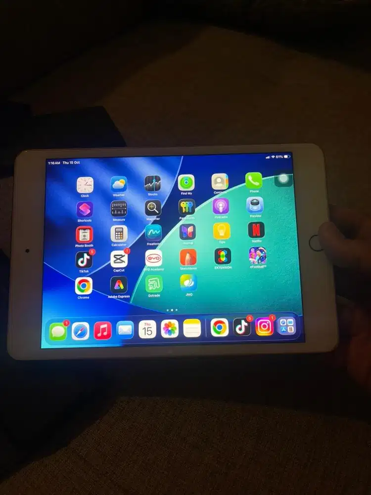 Ipad mini 5 rose gold