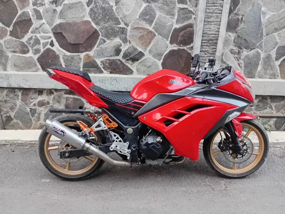 Kawasaki ninja 250 fi 2014