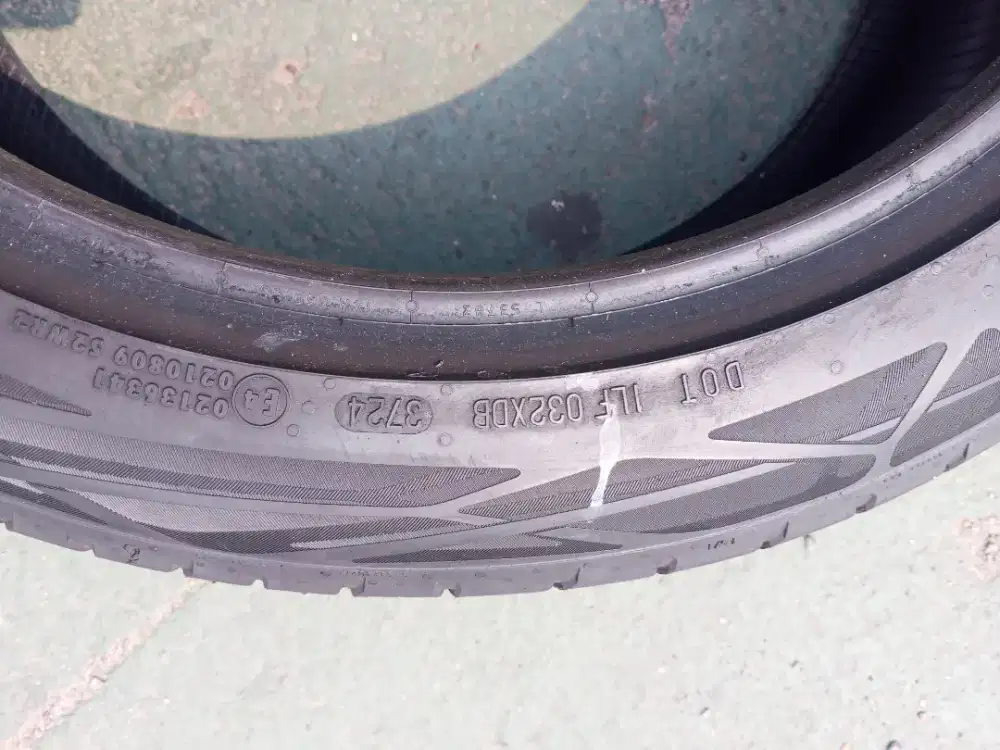 Ban copotan byd seal 2025