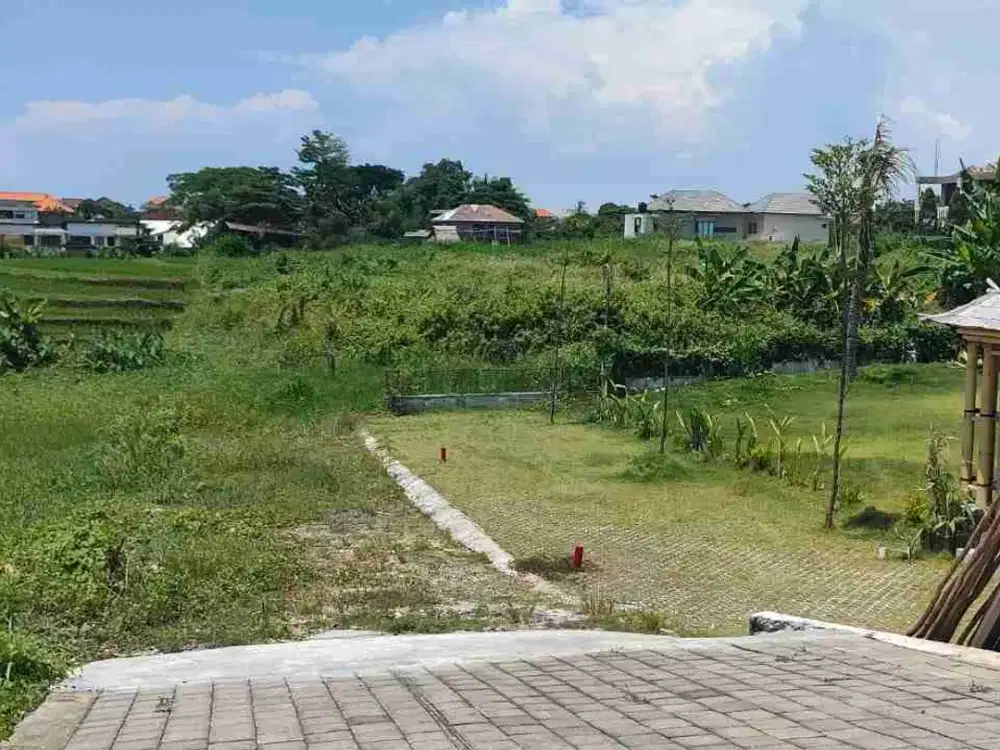TANAH CANGGU GANG ANGGREK VIEW SAWAH ABADI