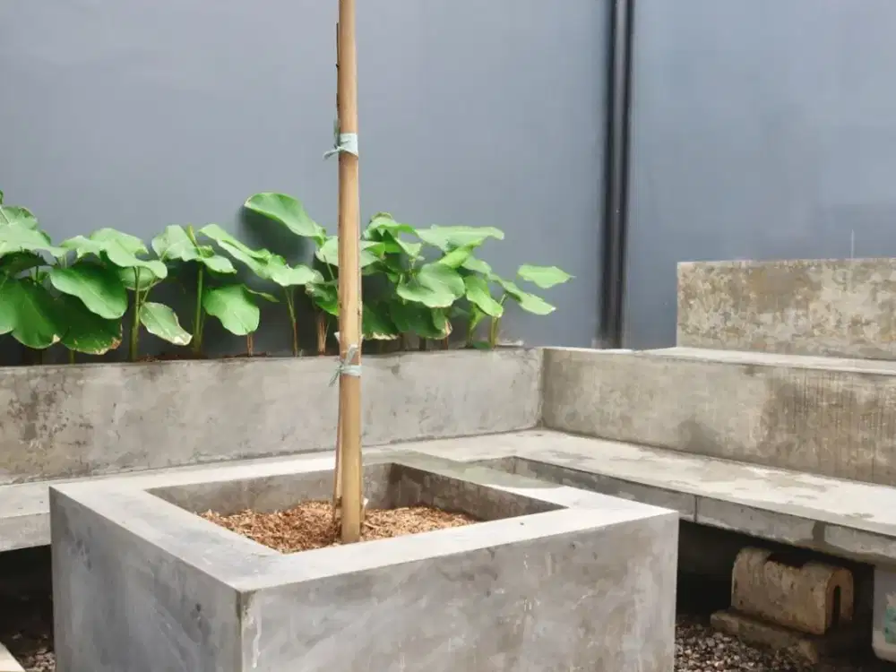 Dijual Rumah 2 Lantai di Nusa loka BSD City, Tangerang Selatan