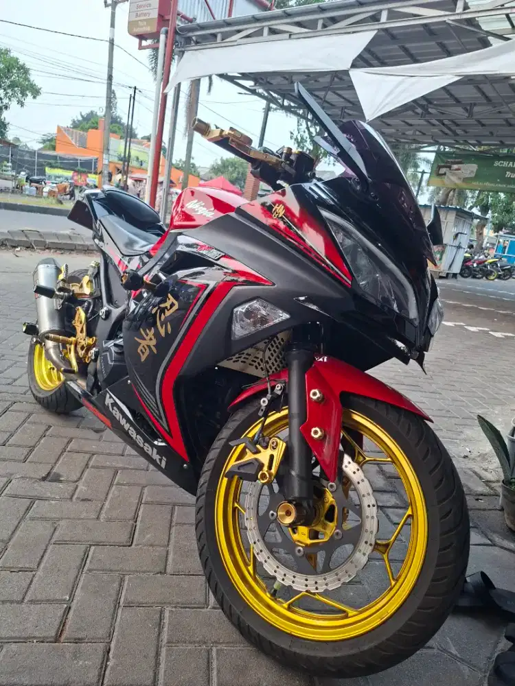 Bismillah jual,cepat ninja 250 cc limited edision pajk of 1x.mesin jos