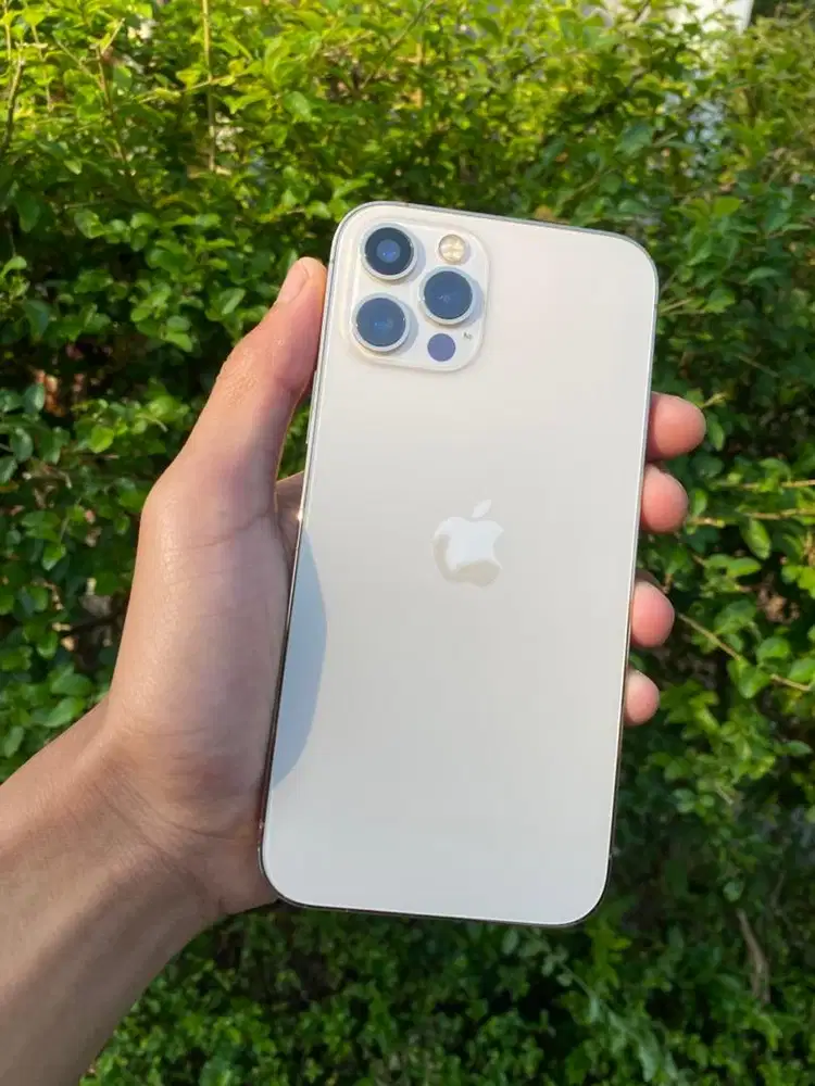 Iphone 12 Pro 256gb full ori mulus