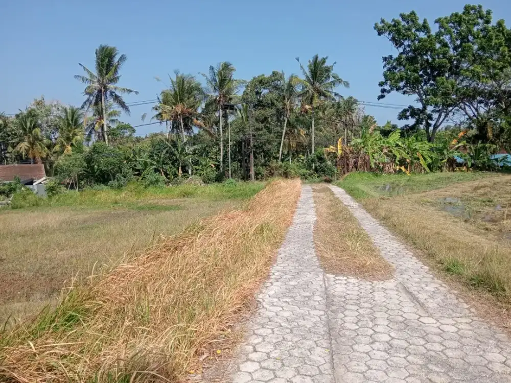 Peluang Langka Tanah Datar Langsung di Pinggir Jalan Nasional