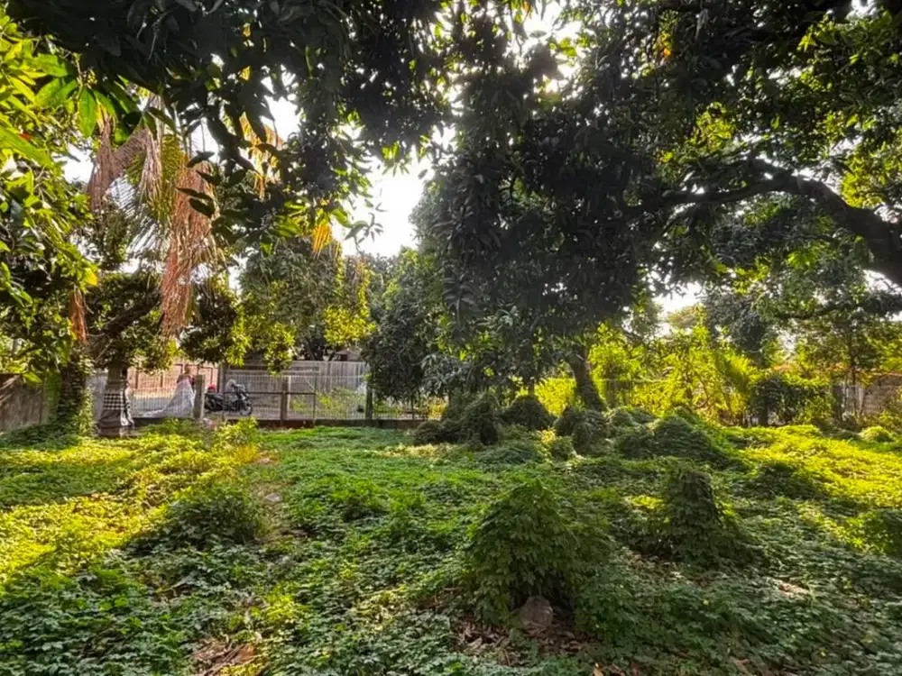 Tanah 12 Are Kondisi Sudah Padat Siap Bangun Dijual di Singaraja