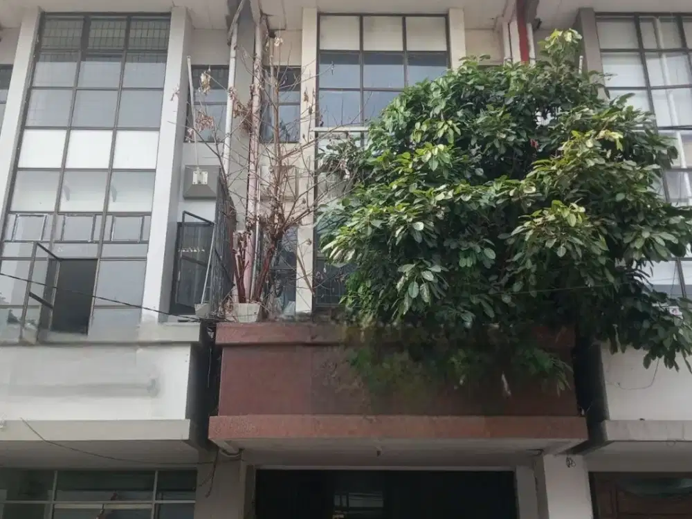 Ruko 4Lt di Pecenongan Raya Gambir, Selangkah ke Stasiun Juanda