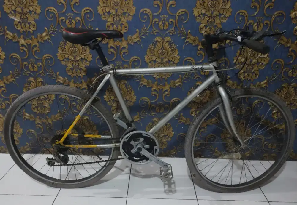 Sepeda bahan kalcer