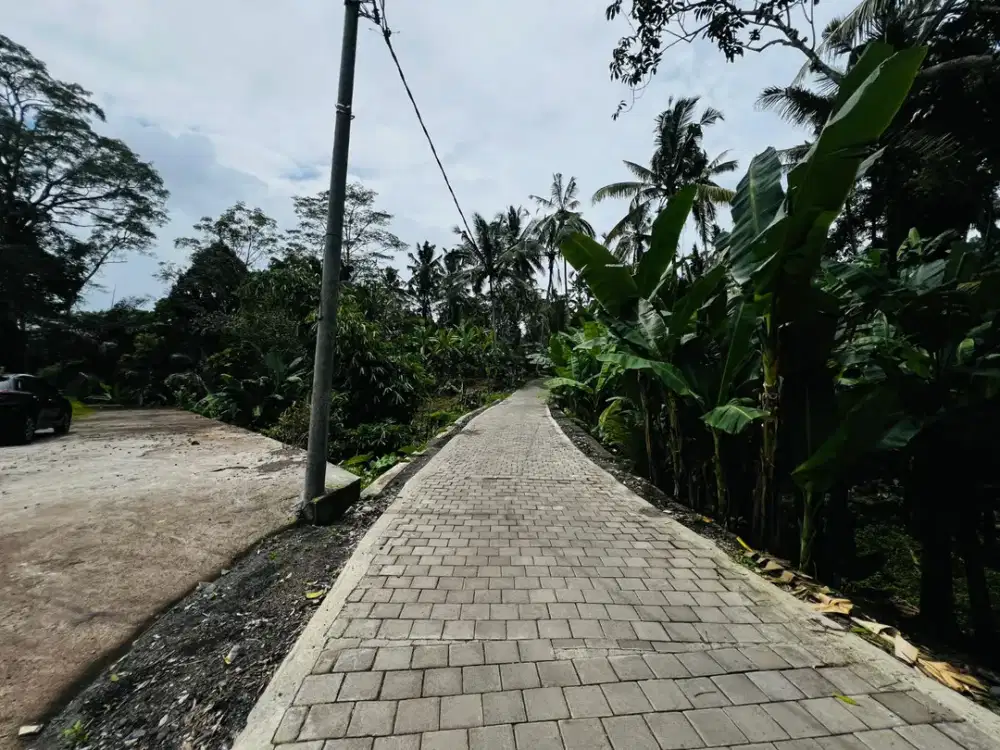 Tanah kav payangan ubud