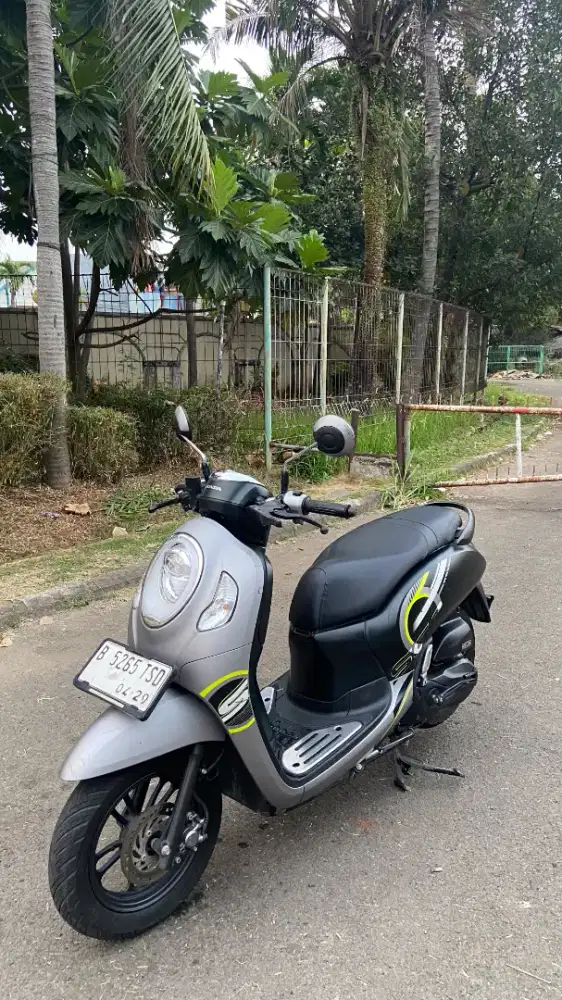 Honda scoppy  2024