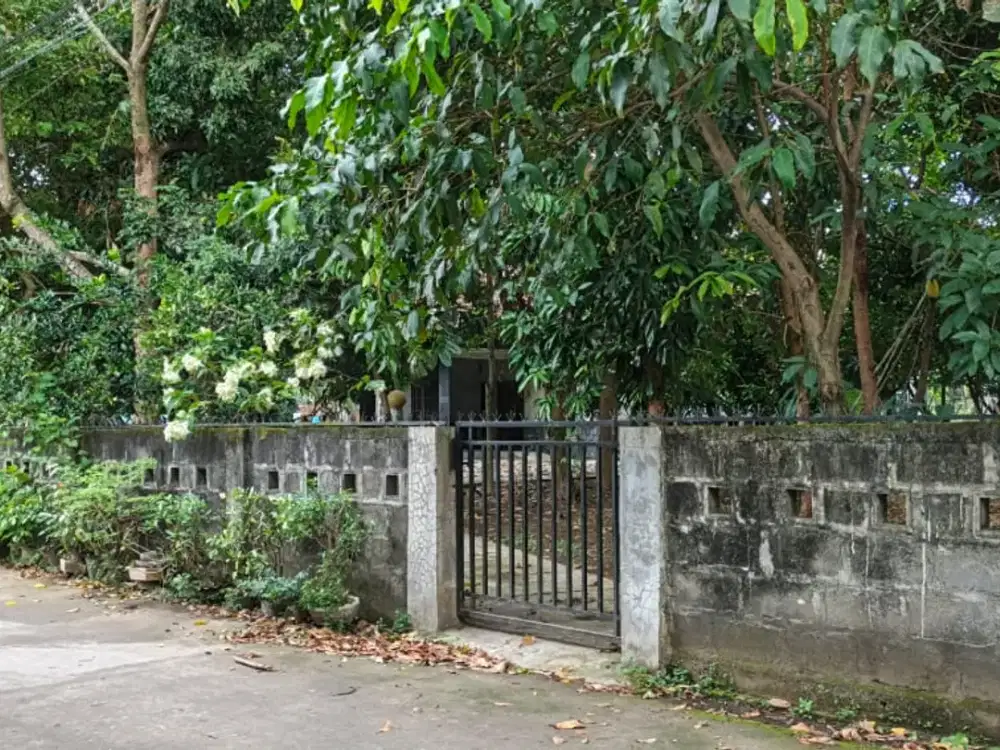 Tanah Pekarangan Bagus Murah di Manding Bantul#Kode : TP 138