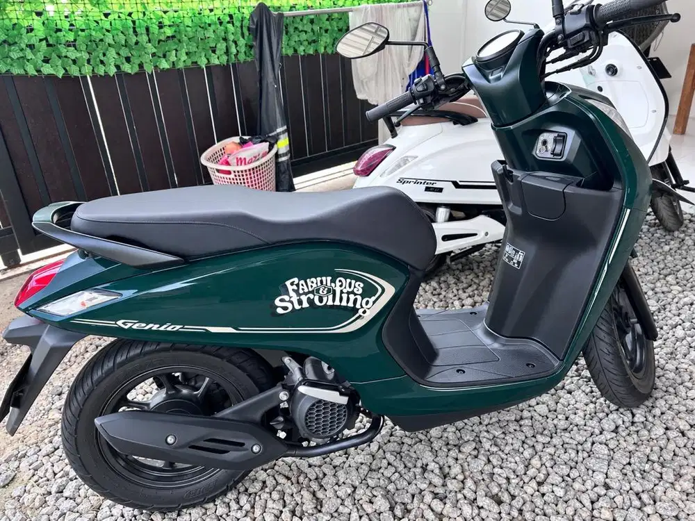 Honda Genio green