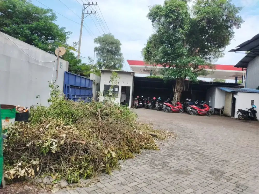 Jual Gudang Luas di Karangawen Demak Semarang