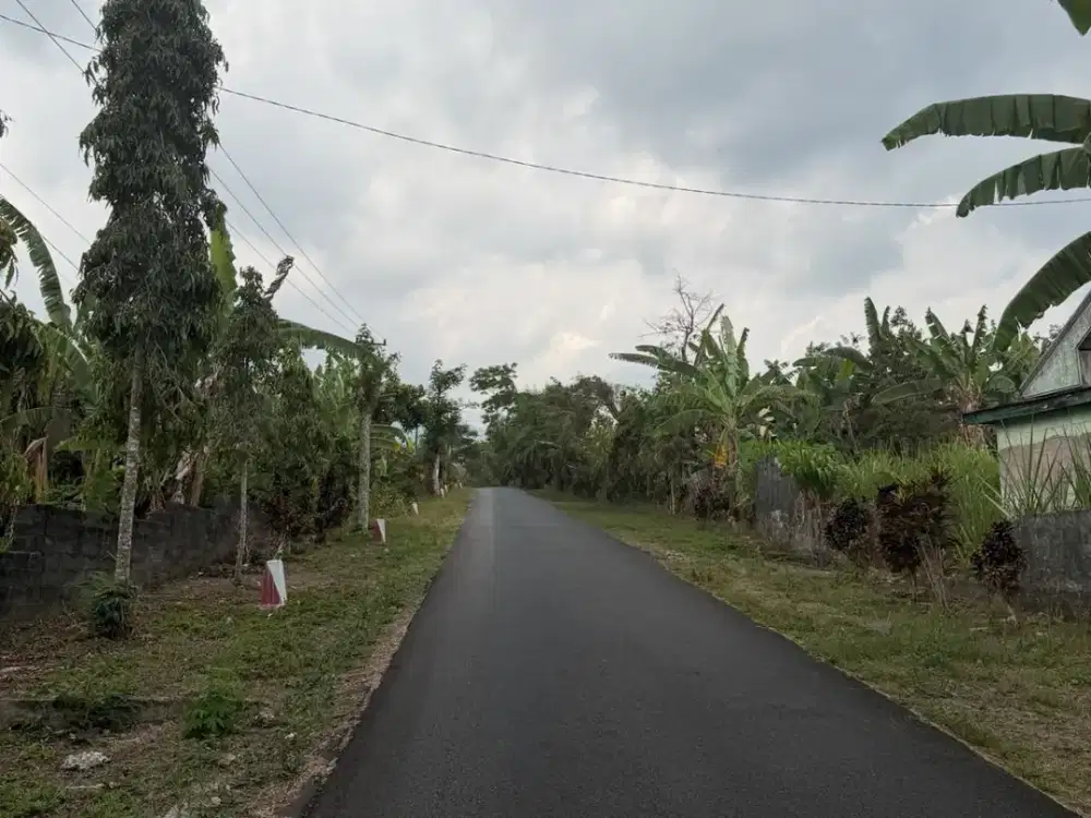 Dijual Murah Tanah Kebun di Doko Kalimanis Blitar