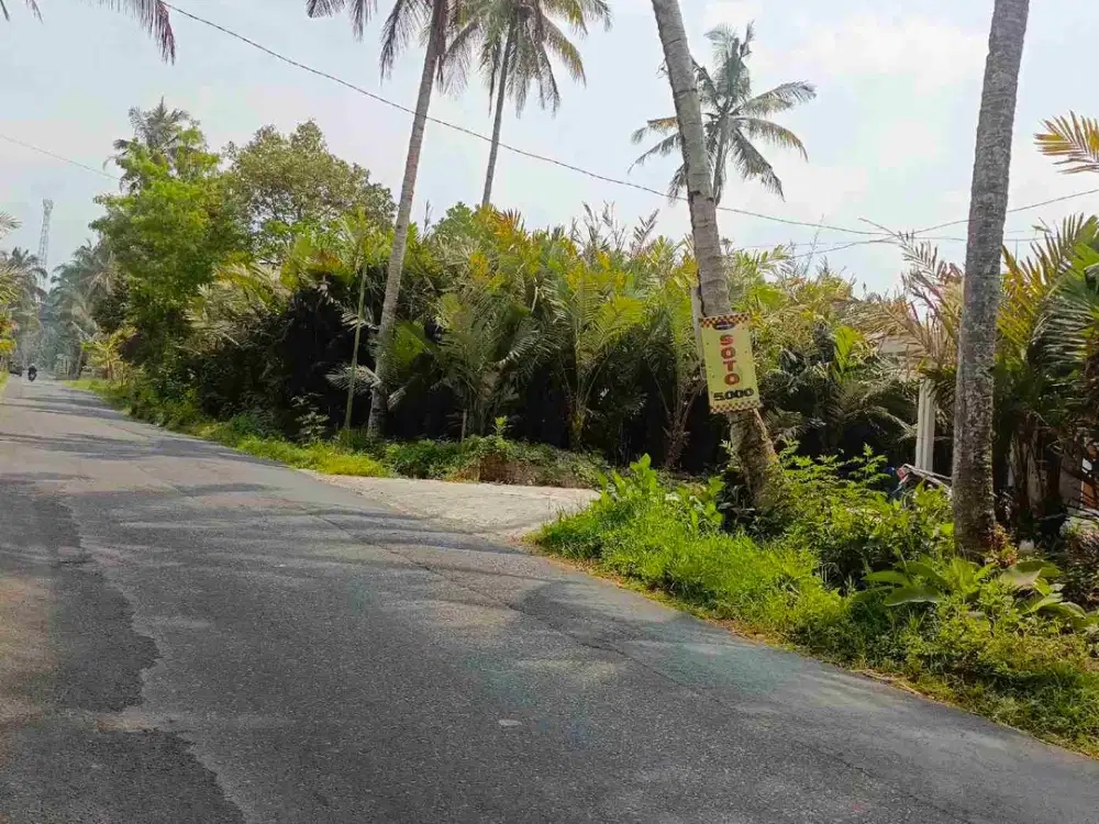 DISEWAKAN TANAH PALAGAN TURGO PAKEM SLEMAN