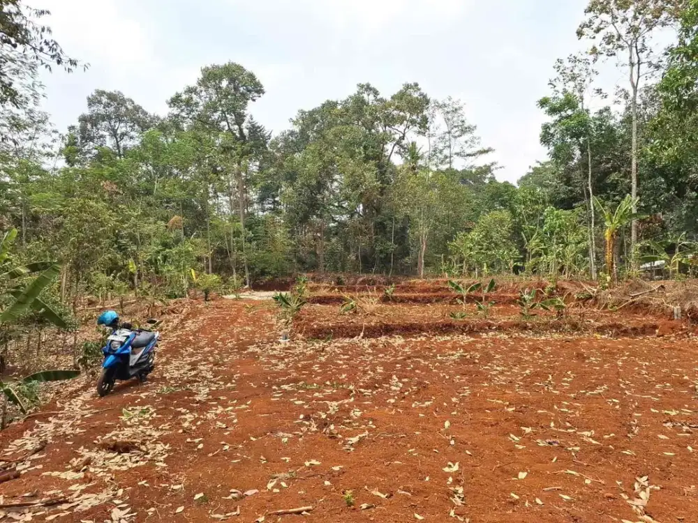 Tanah murah di gunungpati nongkosawit